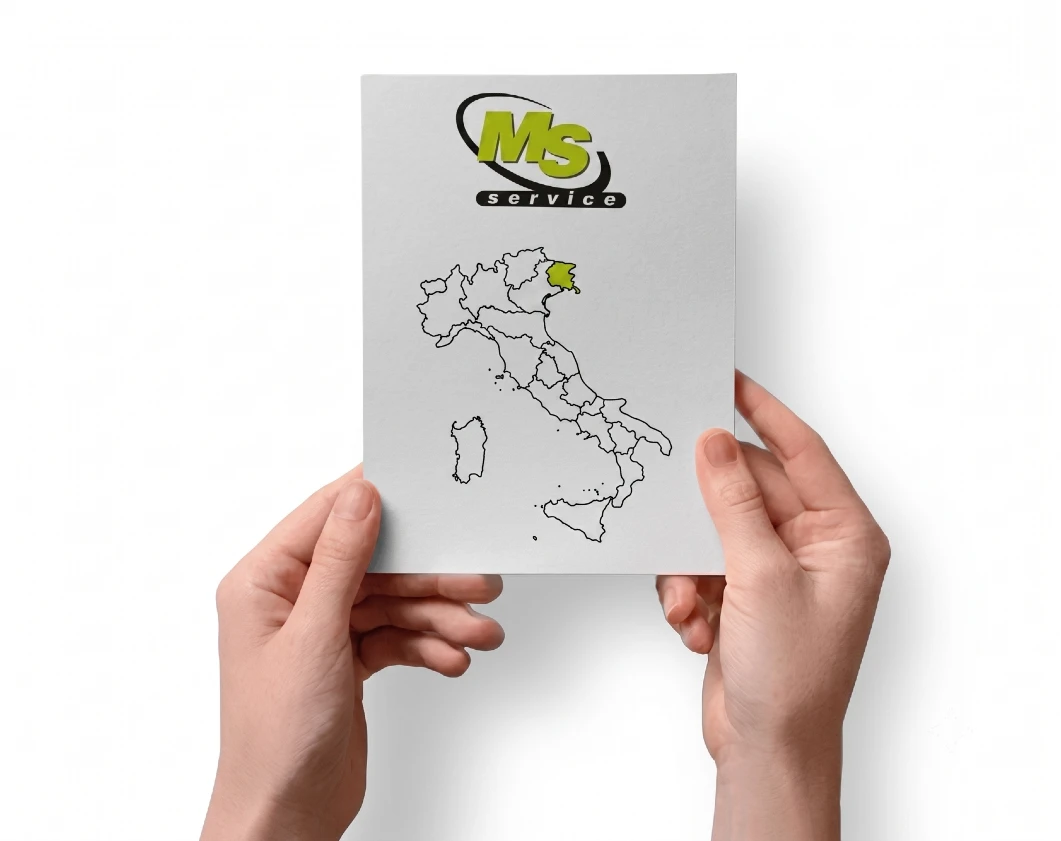 MS Service a Udine
